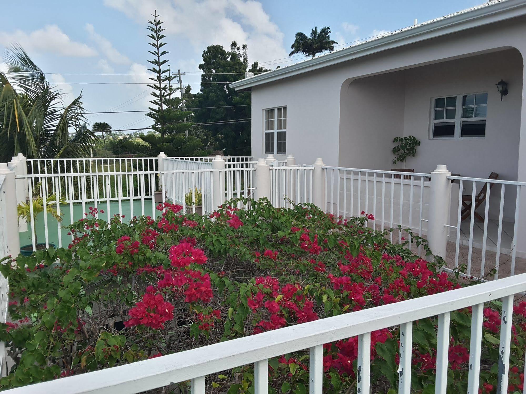 Caribbean Inn And Suites St. John's Esterno foto